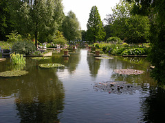 Wasserterrassen in  Planten un Blomen  seit der IGA 1953