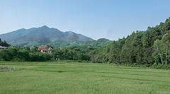 unterwegs von Hue nach Da Nang (© Buelipix)