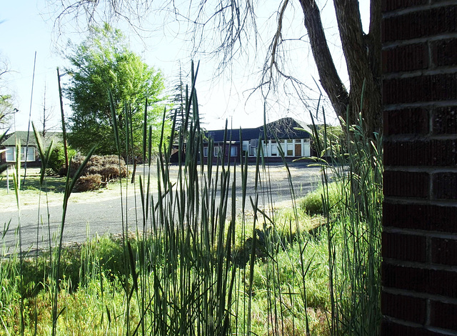 Abandoned buildings