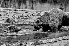 Tierpark Straubing