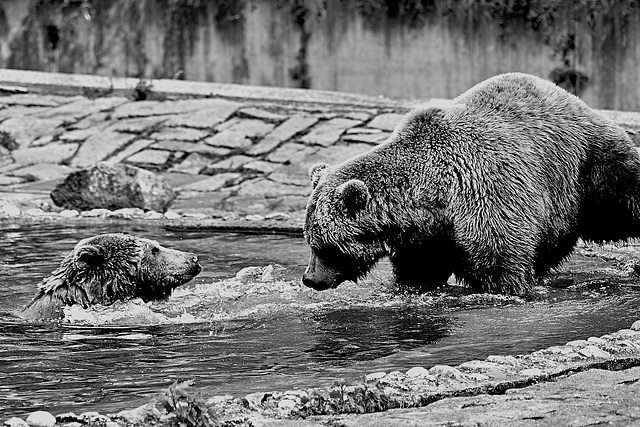 Tierpark Straubing