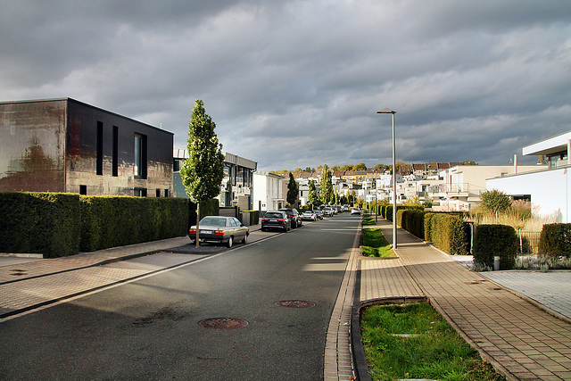 An den Emscherauen (Dortmund-Hörde) / 21.10.2023