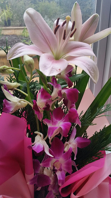 orchids and lilies
