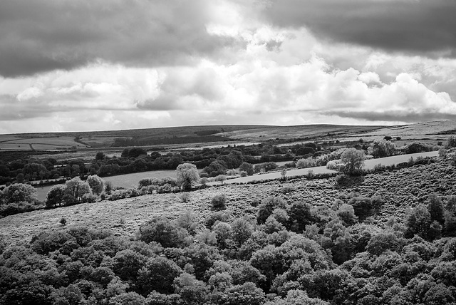 Dartmoor - 20150831