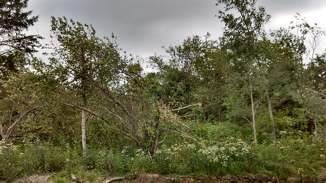 Après la tornade / After the tornado