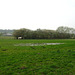 Small pool looking towards Westcroft Farm