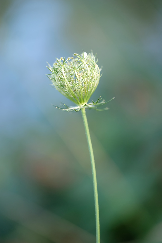 DSCF3417