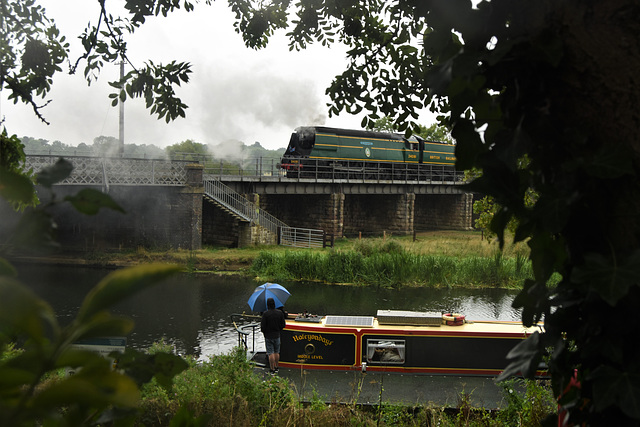 A rainy day at Nene Valley!