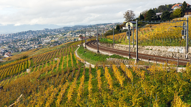 221101 Lavaux 0