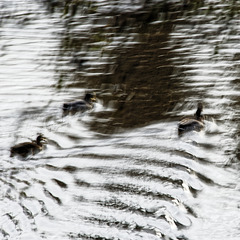 20231015_regensburg spaziergang