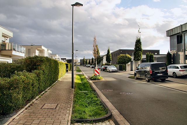 An den Emscherauen (Dortmund-Hörde) / 21.10.2023