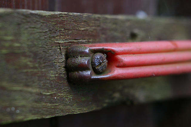 The Red Handle - Chinon 55/1.7