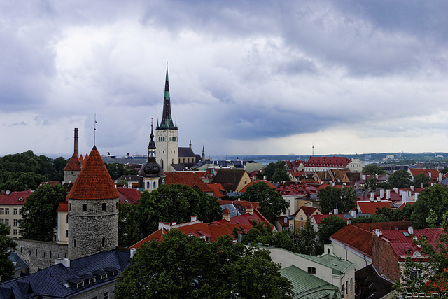 Tallinn - Aussicht vom Patkuli vaateplatvorm  (© Buelipix)