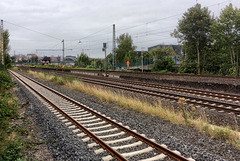 29.09.2016