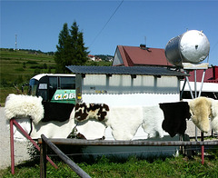 Toilette mit Sonnenschein-Warmwasserspülung