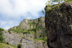 Cheddar Gorge