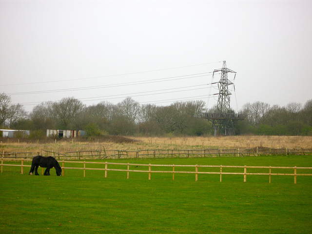 Looking north from Langley Road