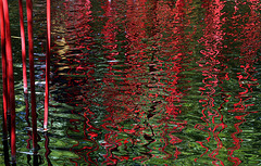 Reflets au Festival des Jardins