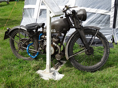 cohaug102019 (1233)