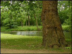 green banks of the Cherwell