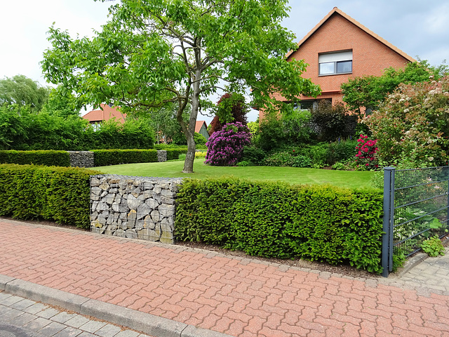 flache Gabionen, Hecke und hinten am Wald ein Zaum  H.F.F.