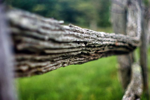 Curving Fence Rail