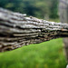 Curving Fence Rail