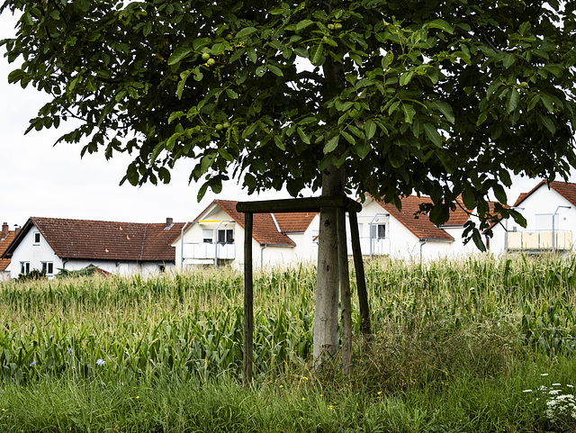 ... im vorbeifahren