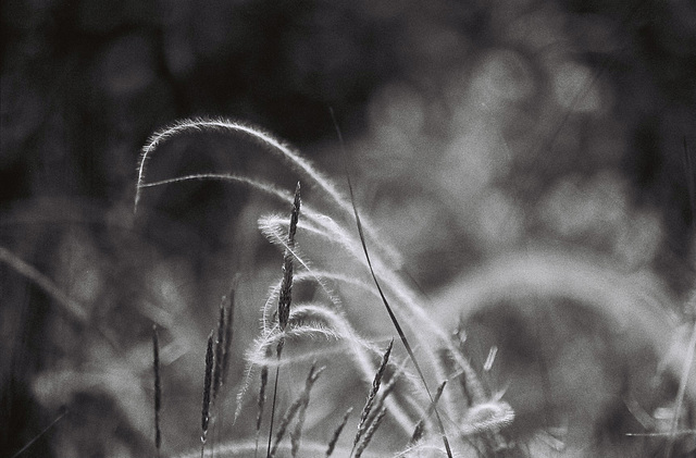 Secrets Carried by the Ground Secrets Carried by the Ground