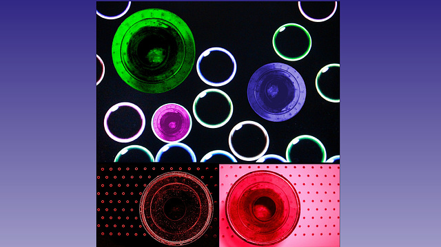 Neon Circles