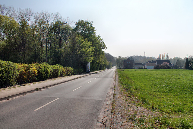 Alisostraße (Bergkamen-Oberaden) / 9.04.2017