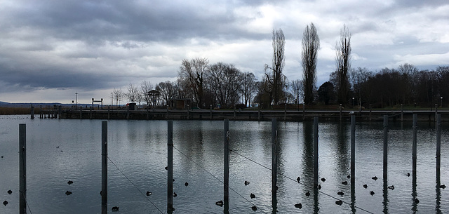 Kreuzlingen Harbour