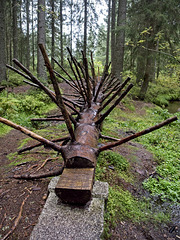 Baum-Igel im Zauberwald