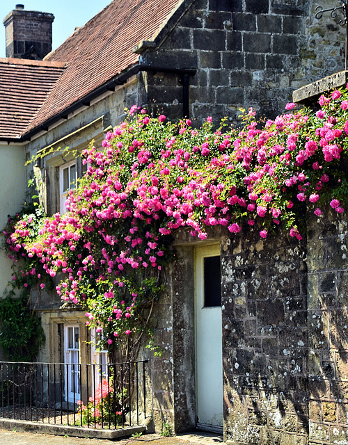 Ox House (1600) ~ Shaftesbury