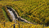 221101 Lavaux 4