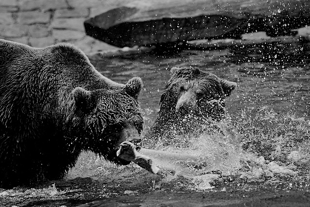 Tierpark Straubing