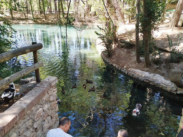 Parque de San Vicente de Liria (Valencia), 1