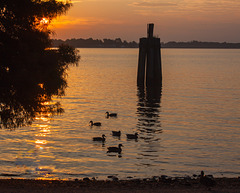 Sunrise, Neuse River