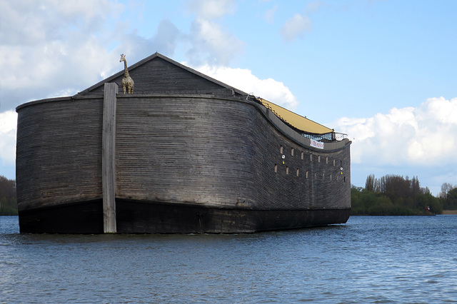 Ark of Noah