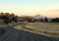 Collman Dairy Road