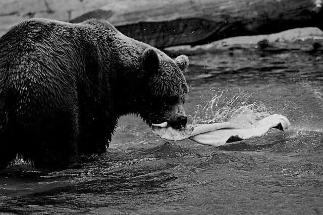 Tierpark Straubing