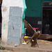 A Swooping Kite in Gidir Magala, Harar