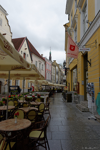 Tallinn bei Regen (© Buelipix)