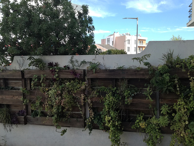 Suspended Garden (in recycled pallets)