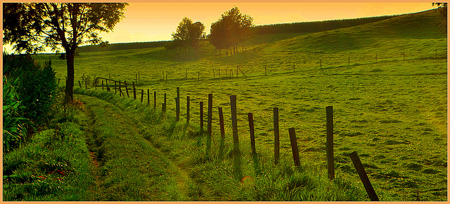 HFF-for everyone-3-9-2021--a lovely walk  on the Beutenaker farm road