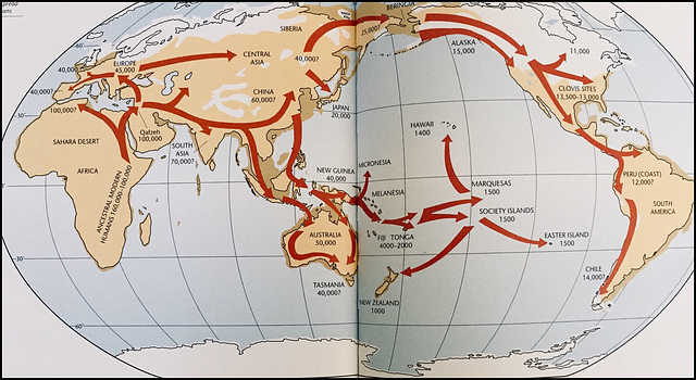 The Geographical Spread of Apes and Humans