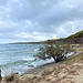 Herbst in Santa Lucia - Sardinien