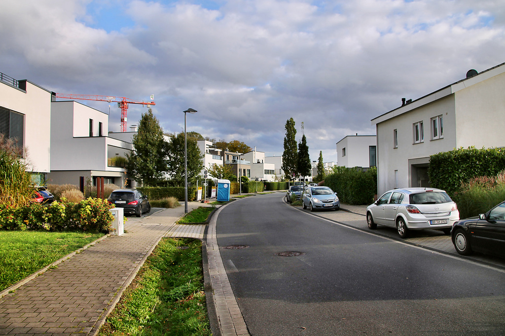 An den Emscherauen (Dortmund-Hörde) / 21.10.2023