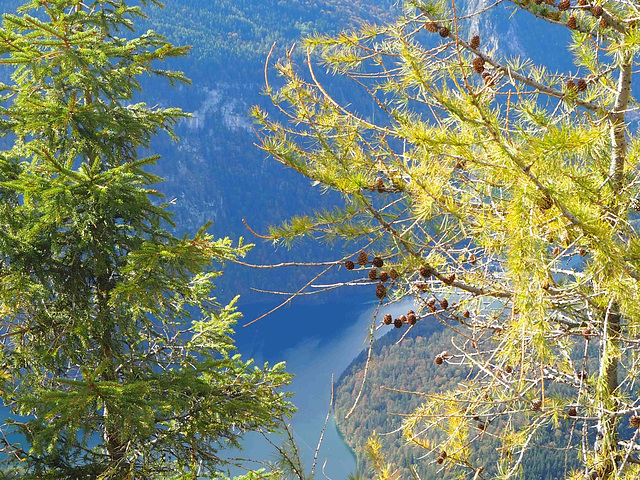 Königssee von hoch oben