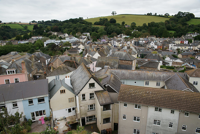 View Over Totnes